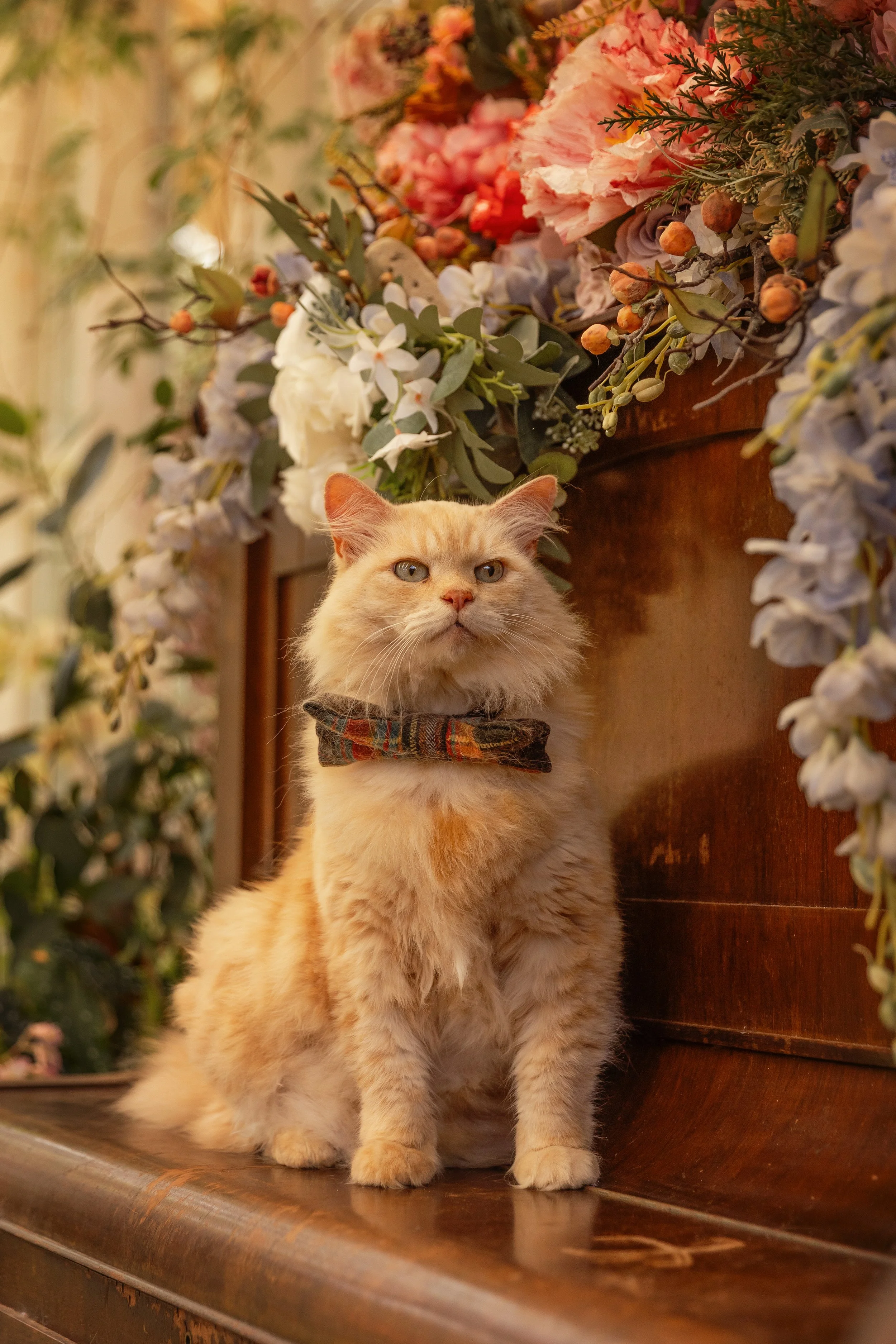 132A3366copy (1).jpg