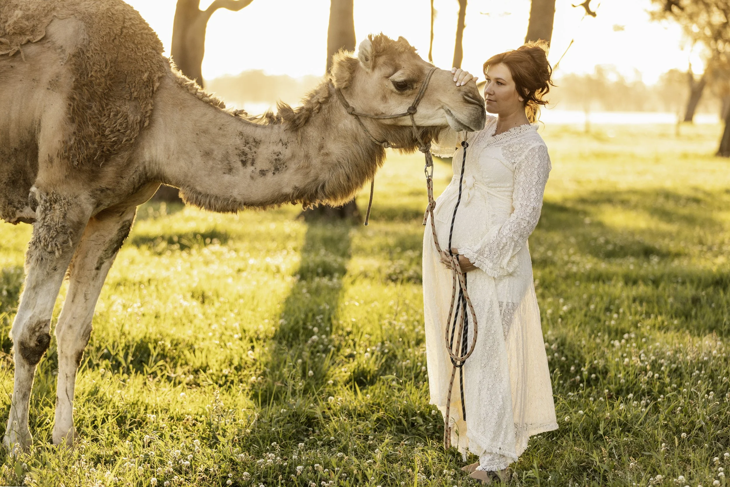 185A2409copy (1).jpg