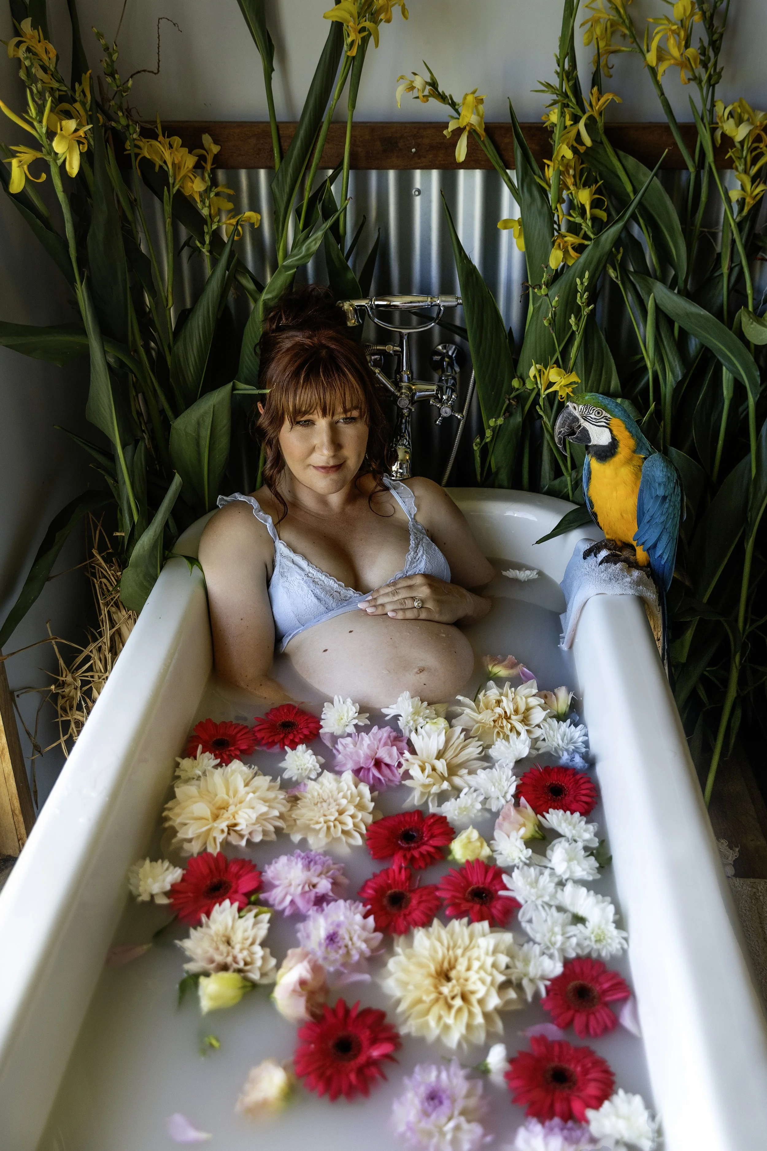 070A0075copy (2).jpg