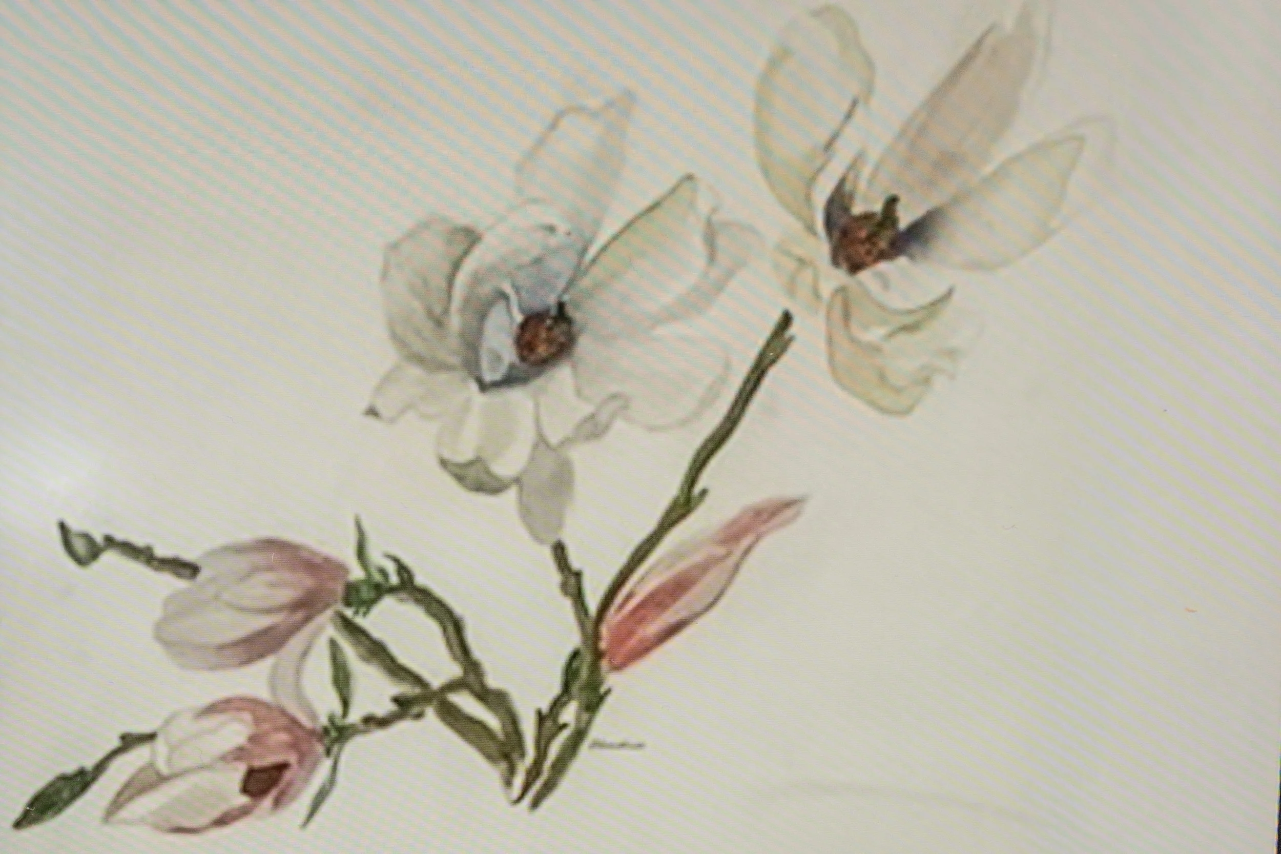 070A4943 copy.jpg