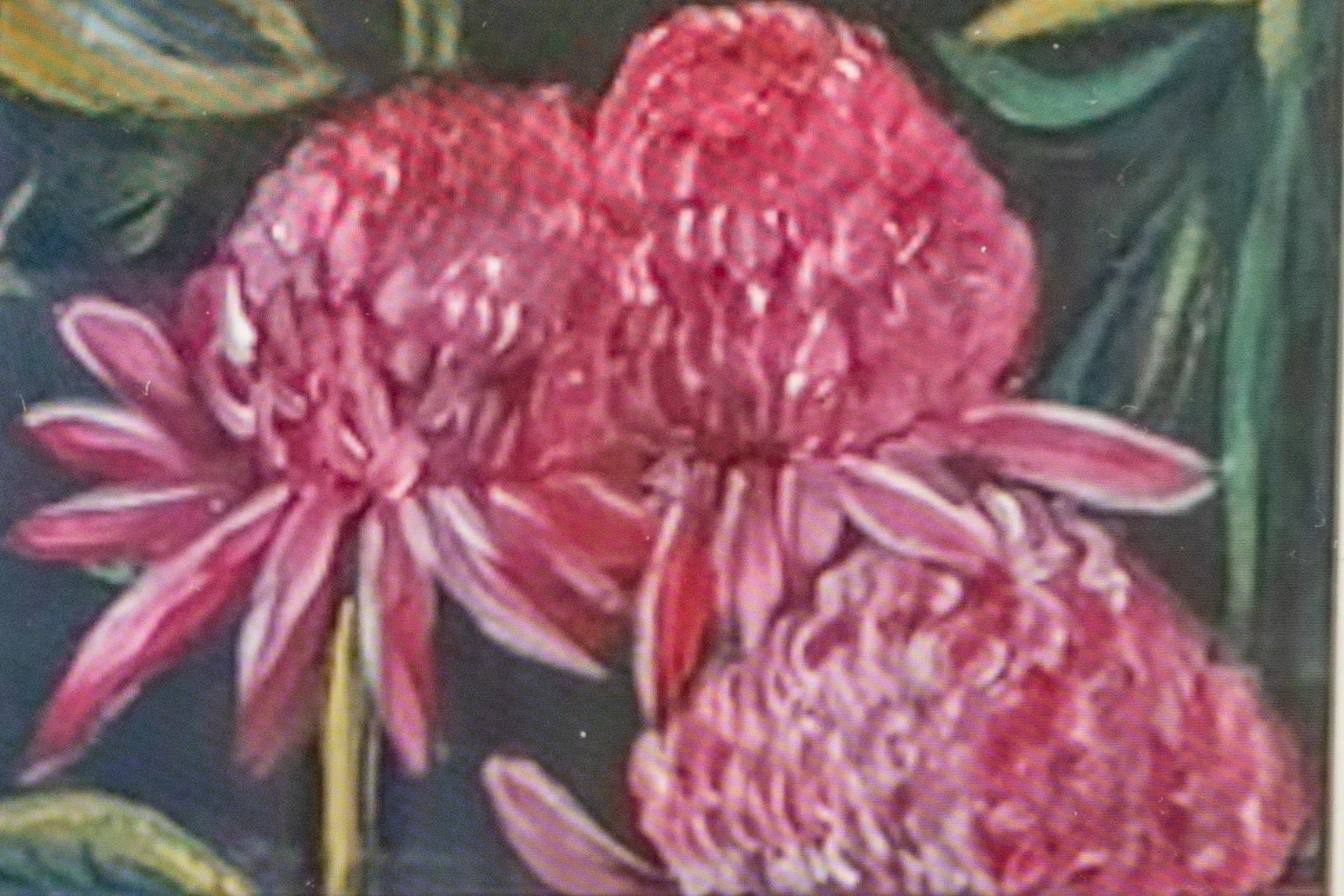 070A4971 copy.jpg