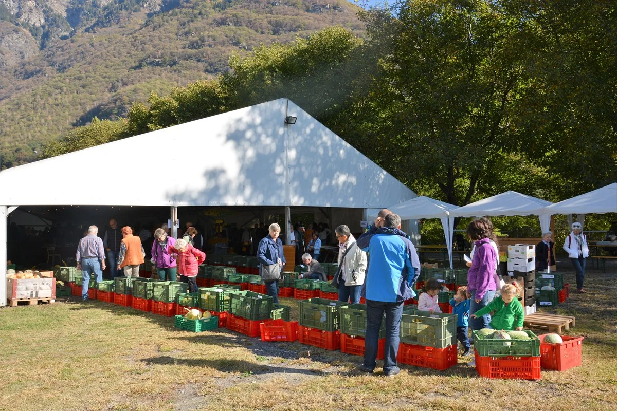 DSC_0135mercato da sud sole_LOW.jpg
