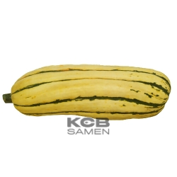 58. Delicata JS bio.png