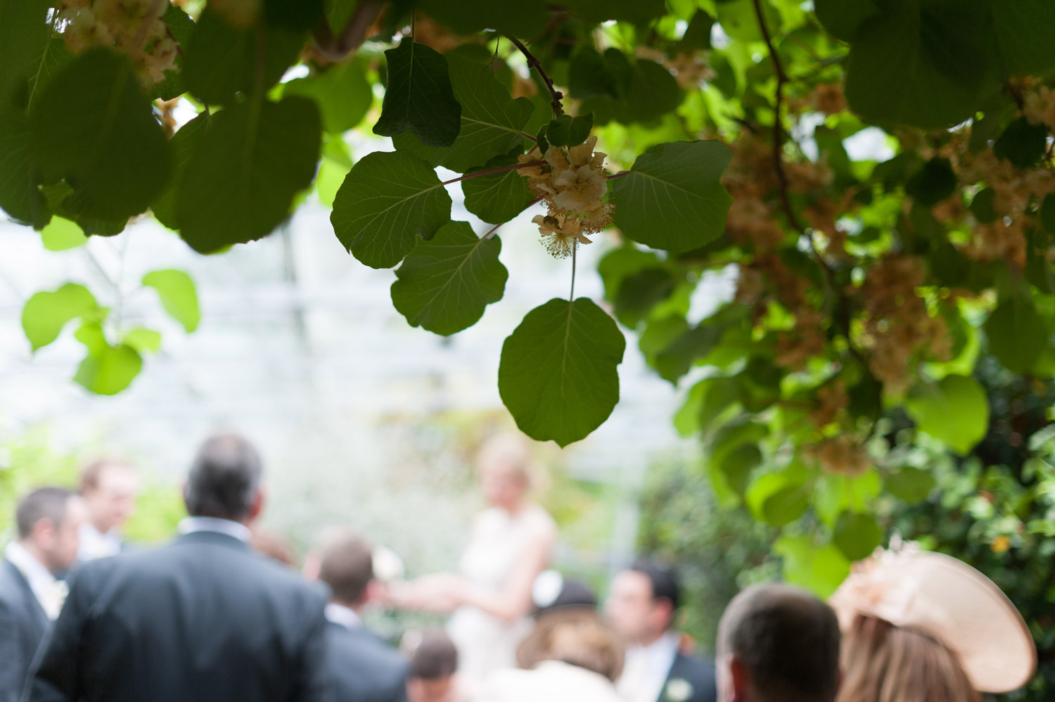 Larchfield-Wedding-048.jpg