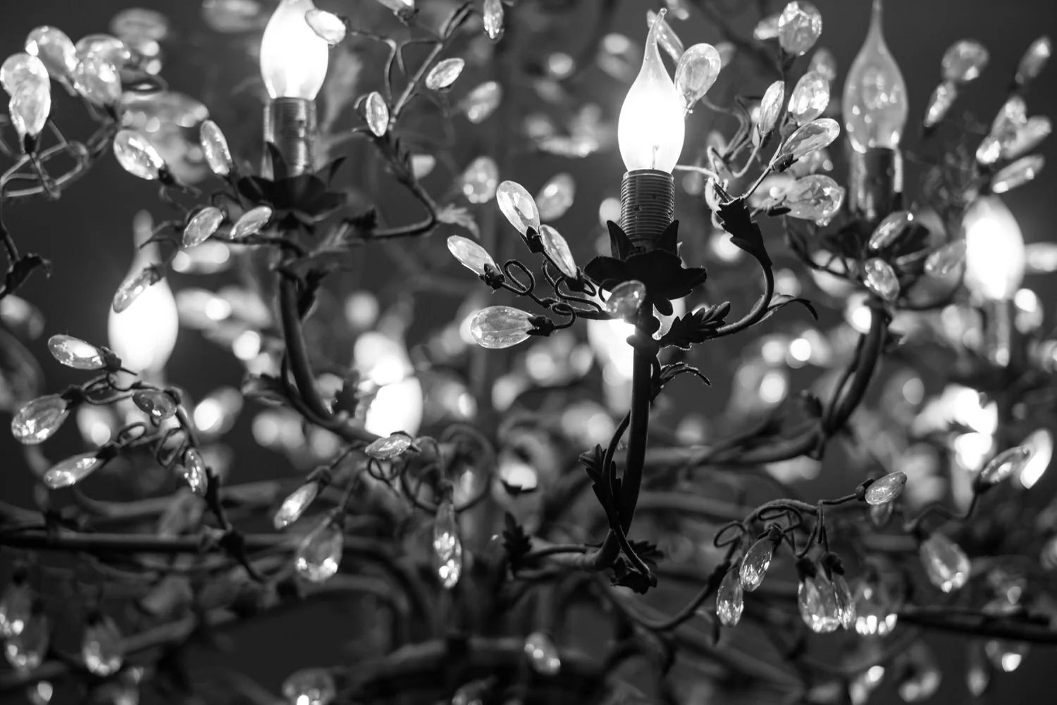 lake garda wedding belfast 101.jpg