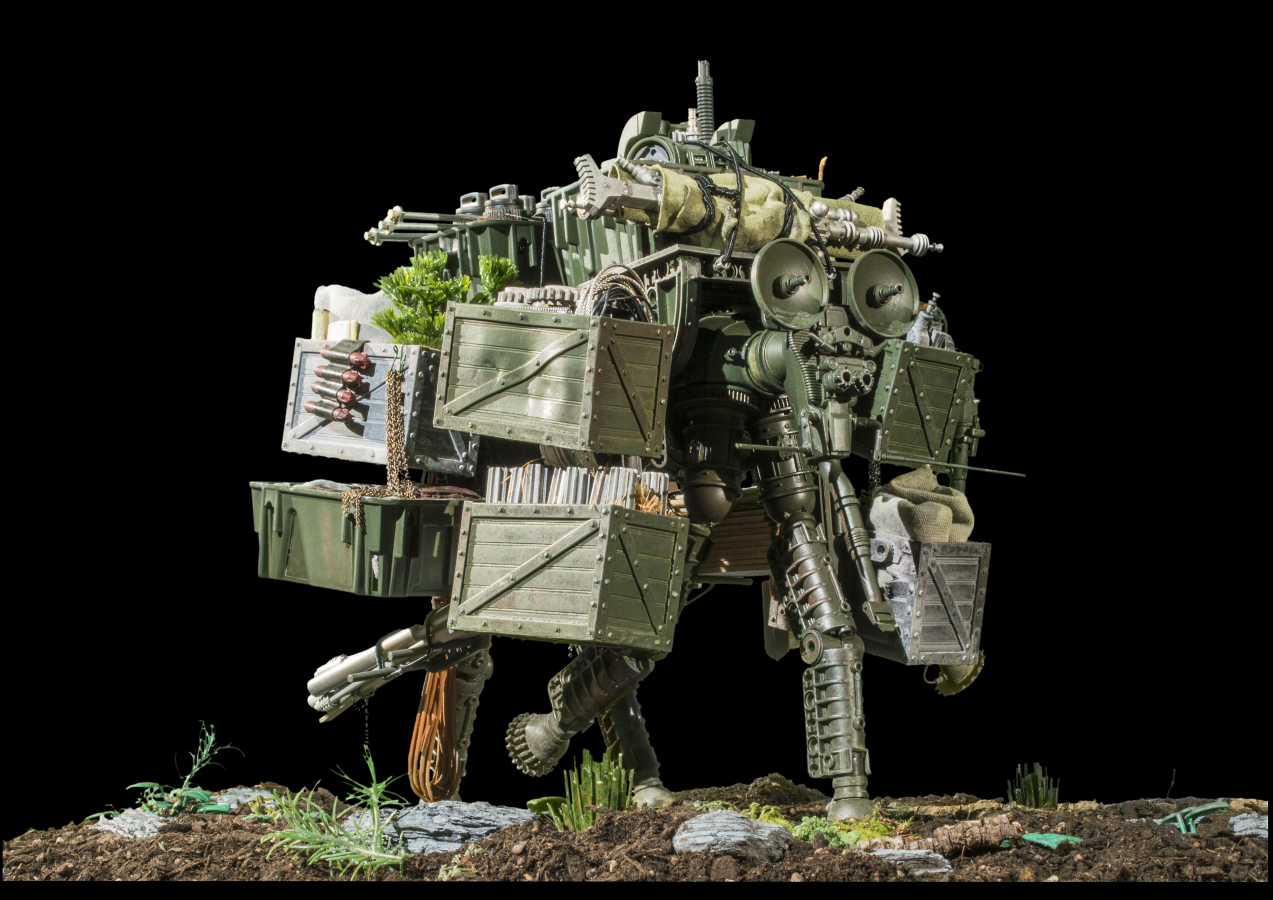 Pachydroid 1_d_t.png