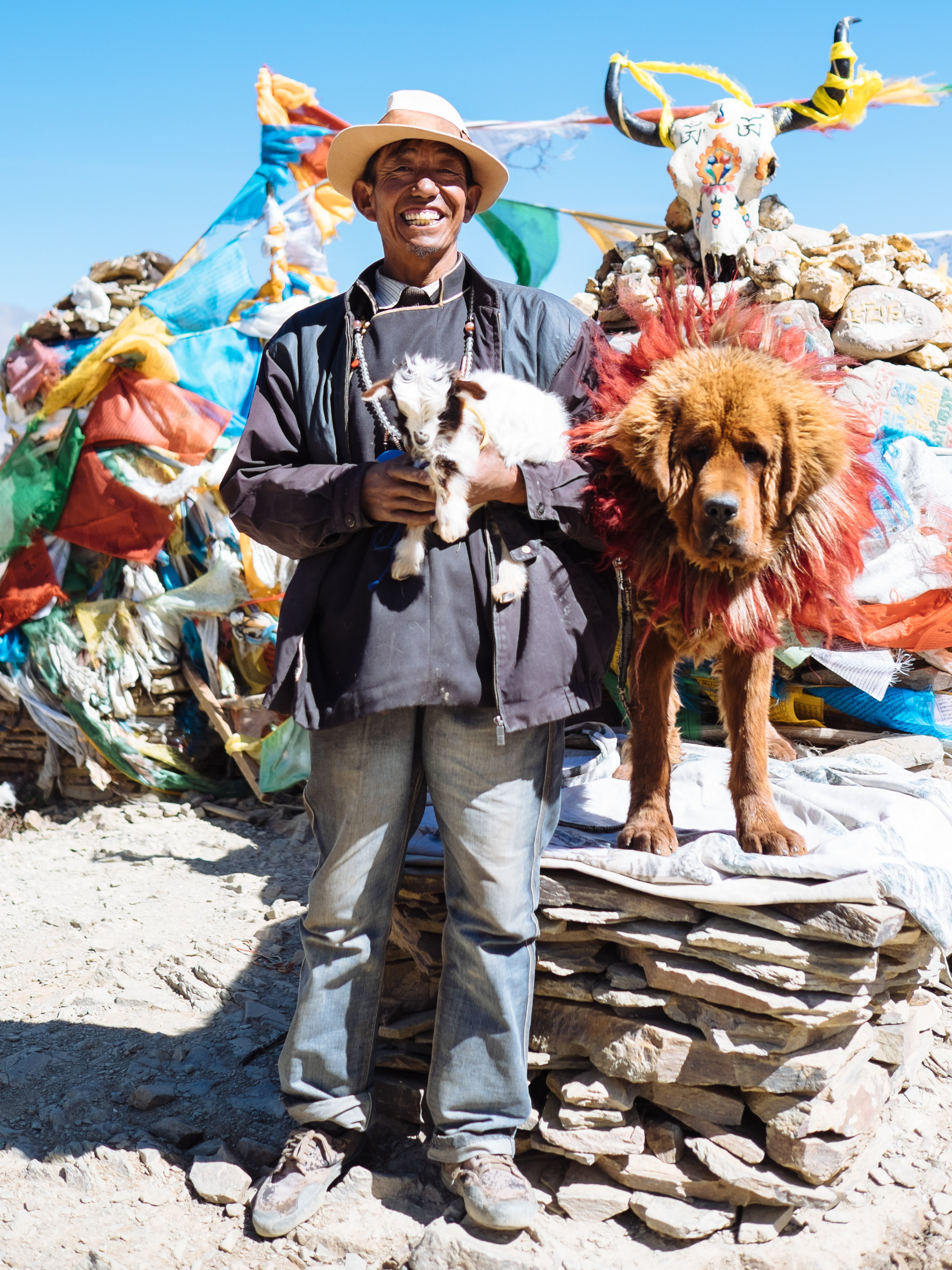 Tibetan Mastiff & Owner