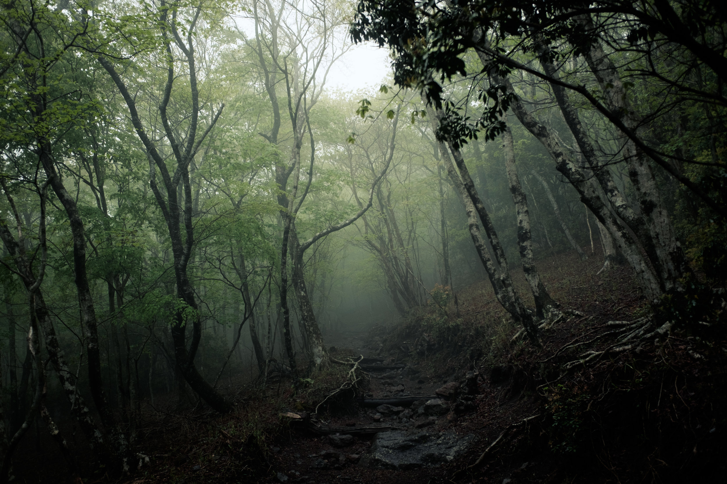 Mount Yufu