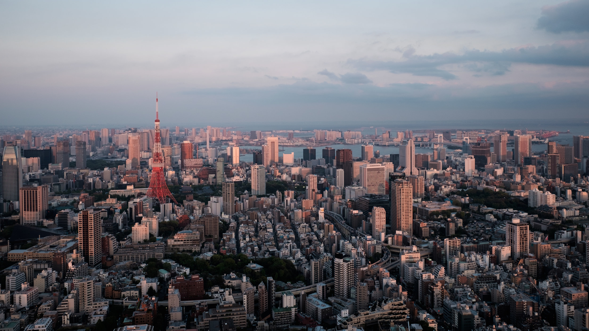 Top of Mori Tower (I)