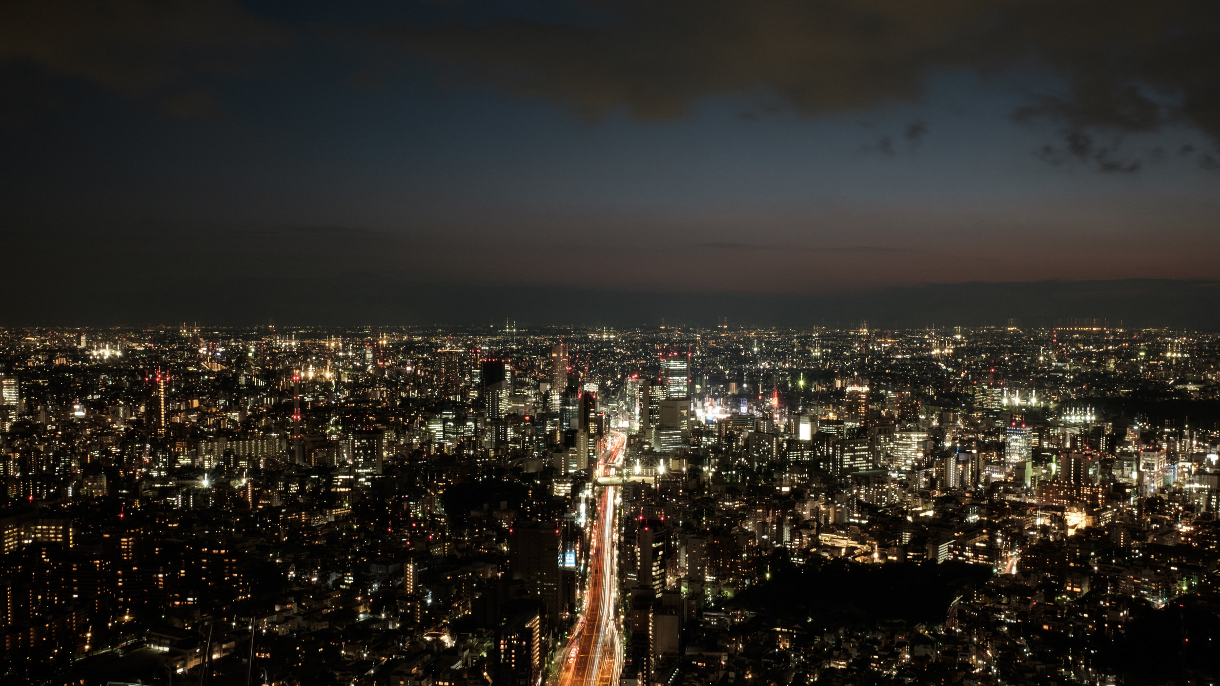 Top of Mori Tower (II)