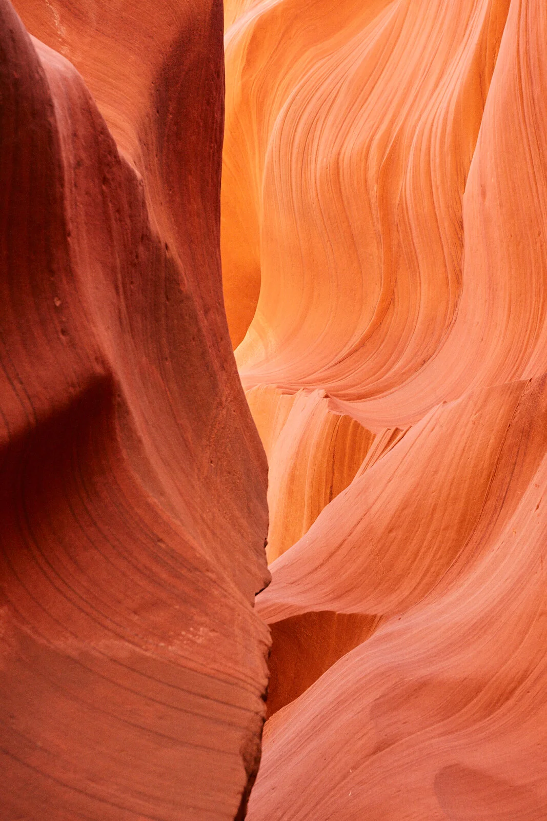 usa-trip-2019-062 - Copy.jpg