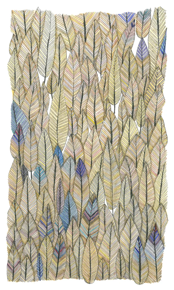 check-out-my-feather-collection_A3P.jpg
