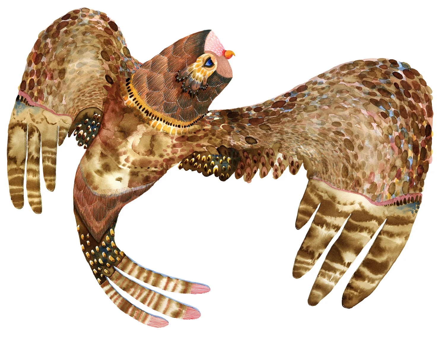 owl1.jpg