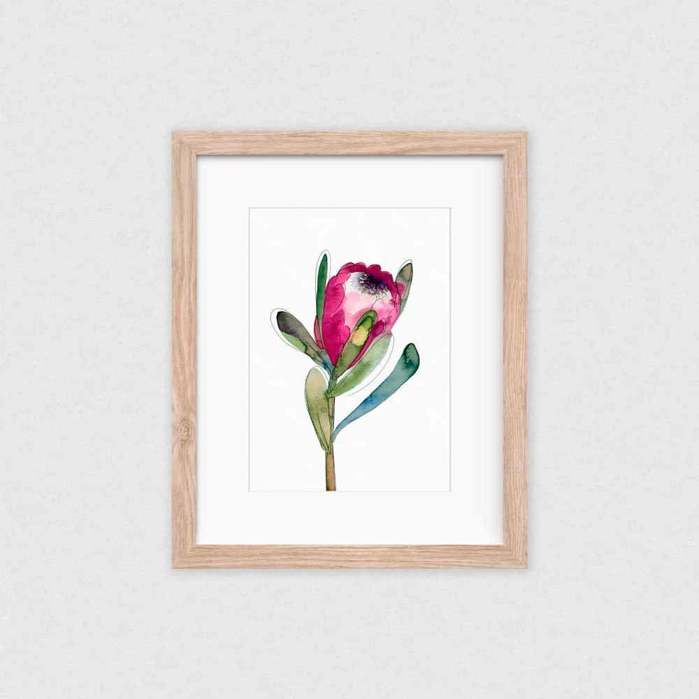 natalie-martin-protea-art-print-framed.jpg