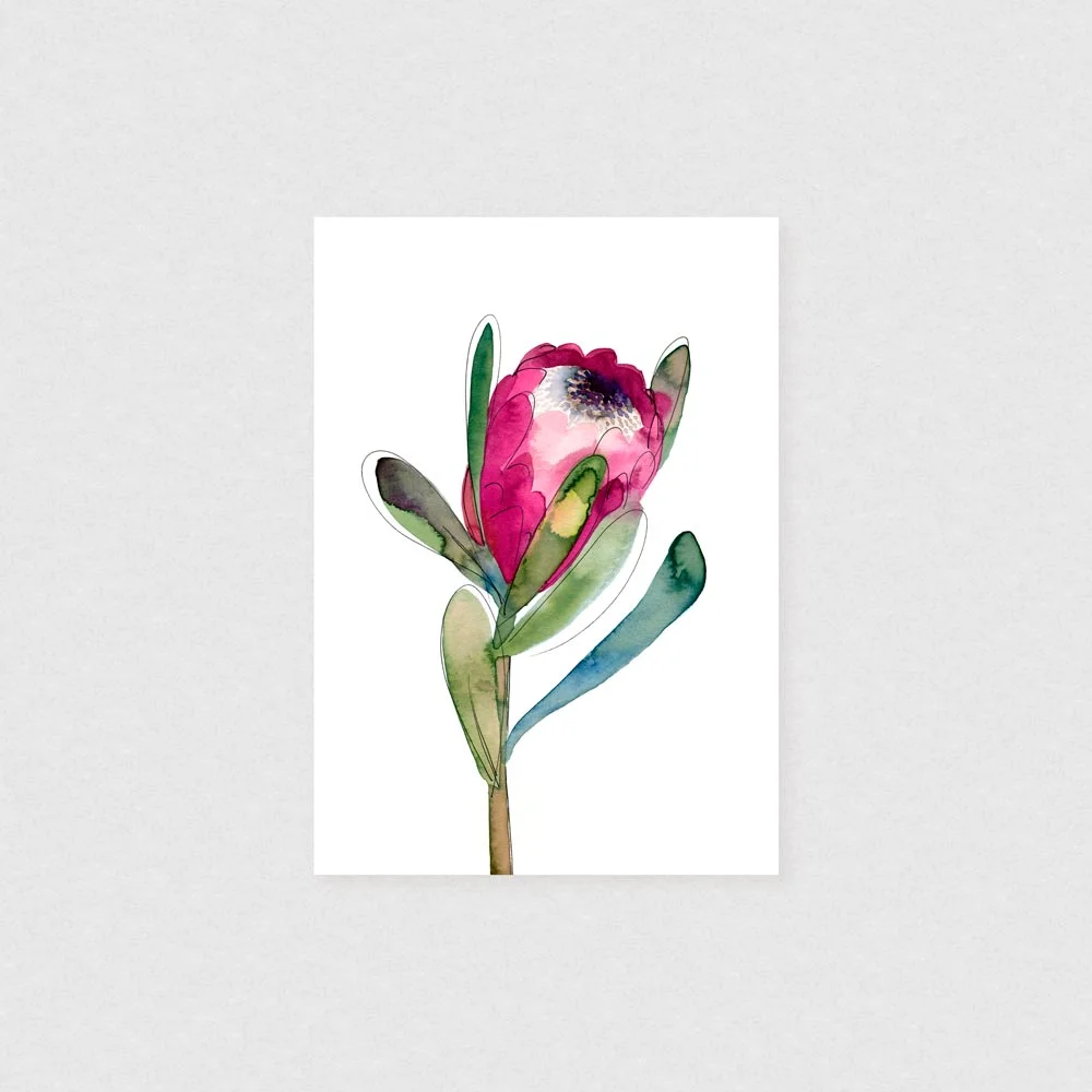 natalie-martin-protea-art-print.jpg
