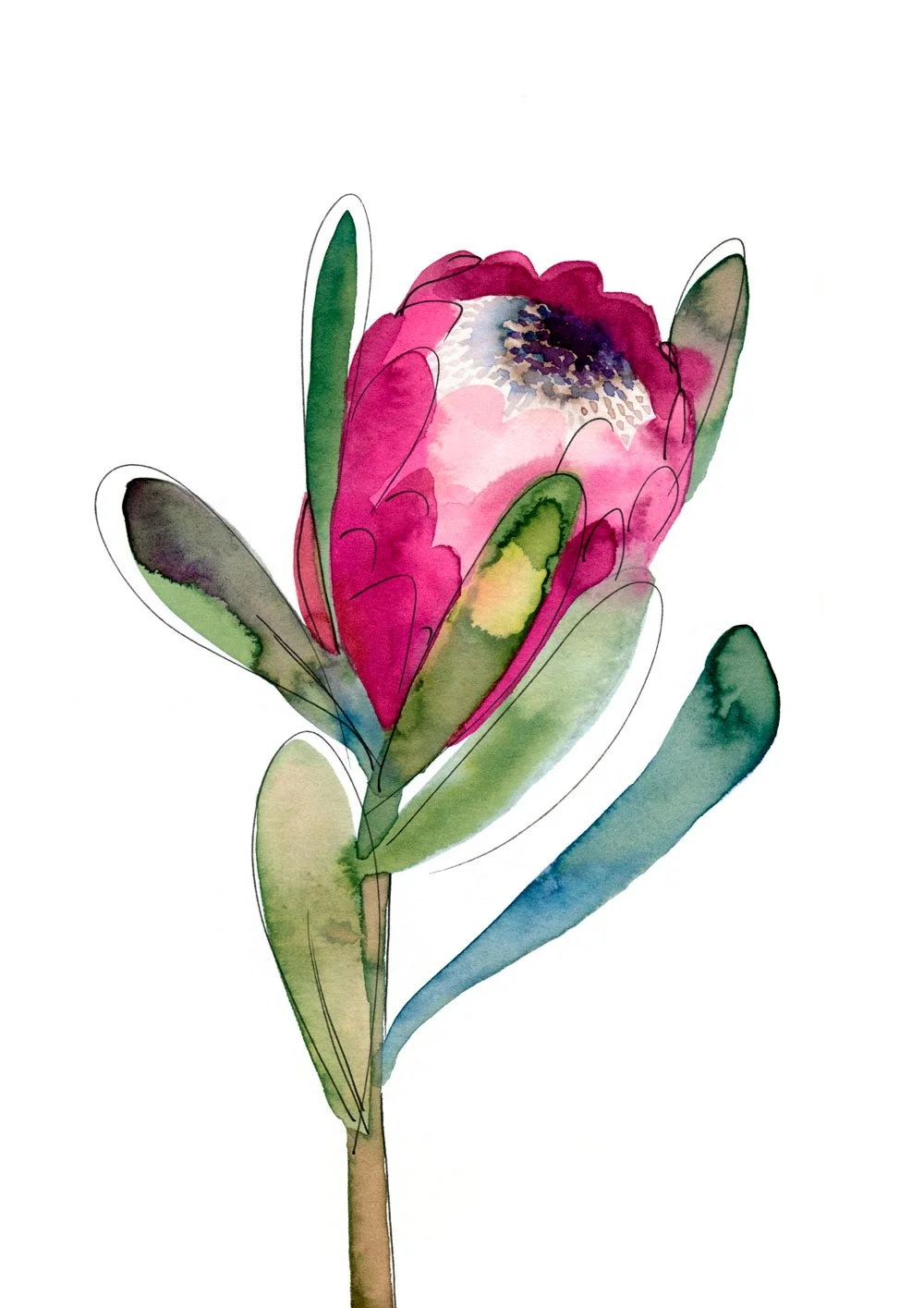 protea.jpg