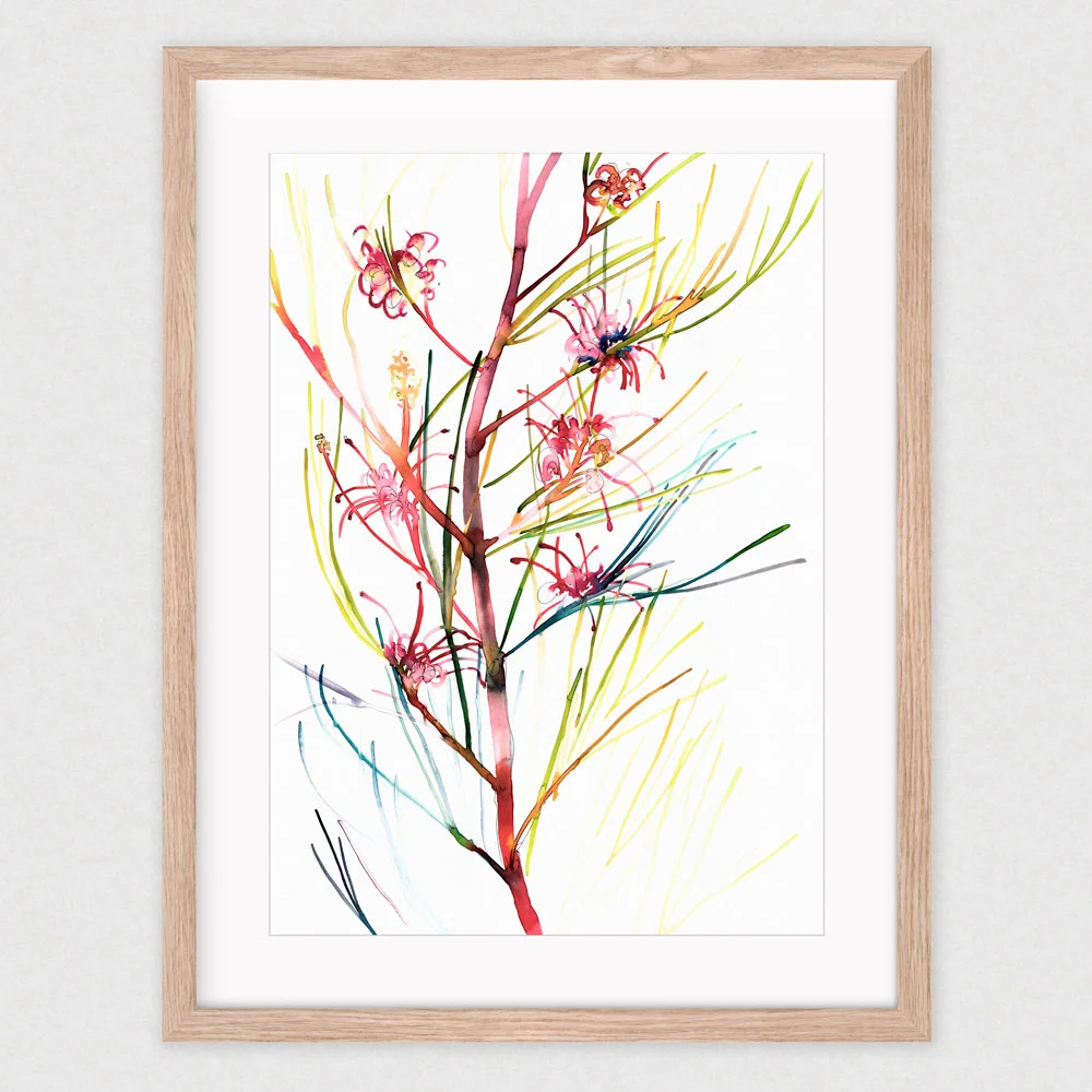 natalie-martin-rogers-grevillea-01.jpg