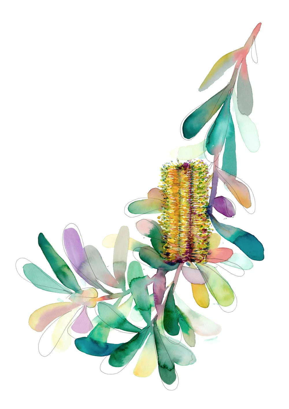 natalie-martin-gilberts-banksia-03.jpg