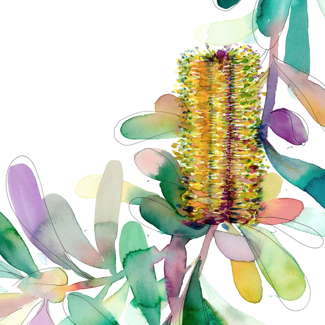 natalie-martin-gilberts-banksia-04.jpg