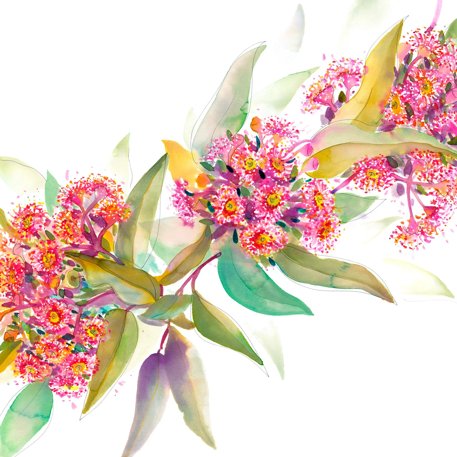 natalie-martin-ashmores-flowering-gum-03.jpg
