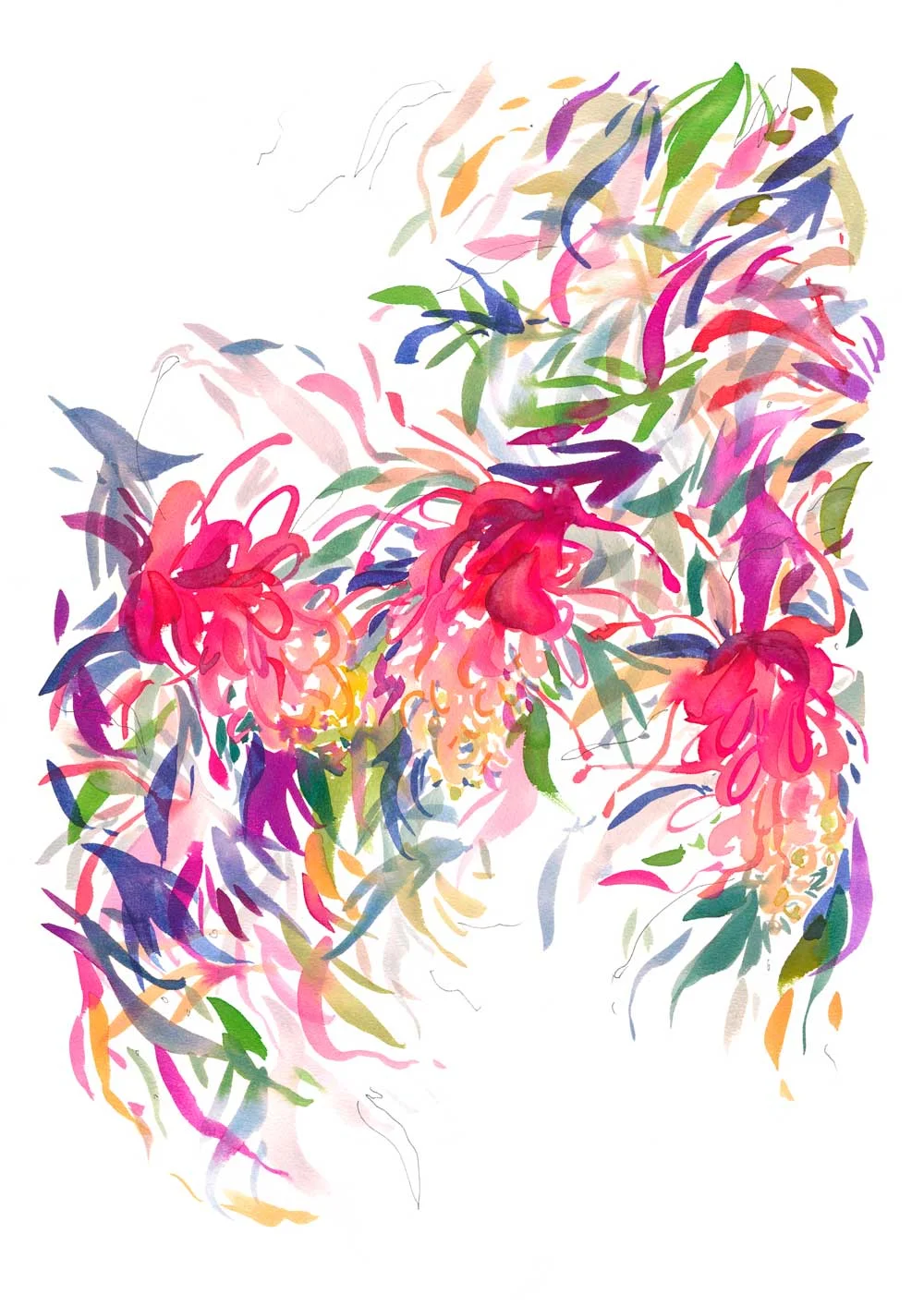 Grevillea-Trio-A2-1000px.jpg