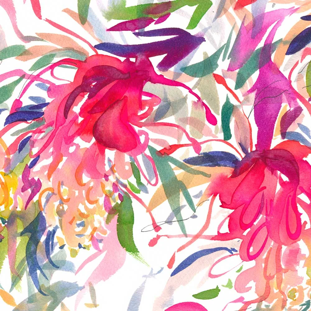 Grevillea-Trio-A2-closeup-1000px.jpg
