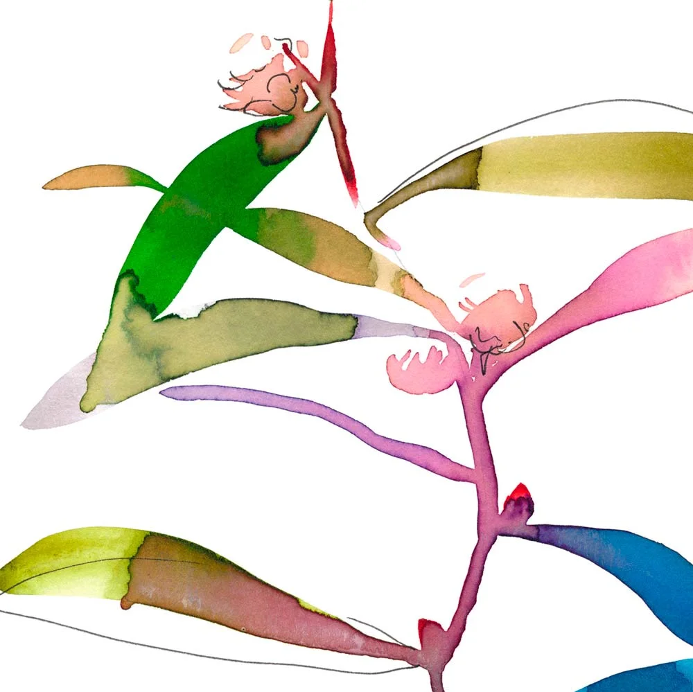 hakea-bud-A4-close-up.jpg