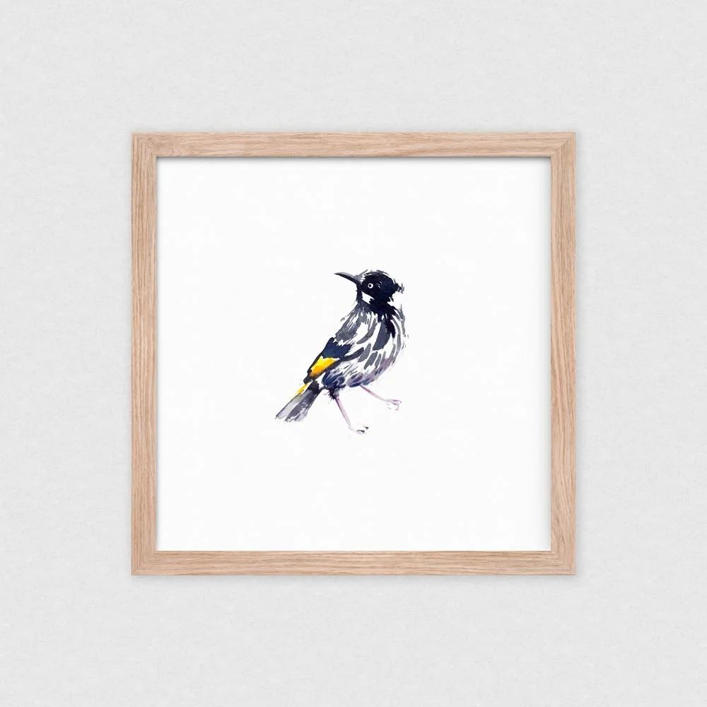 natalie-martin-new-holland-honeyeater-art-print-01.jpg