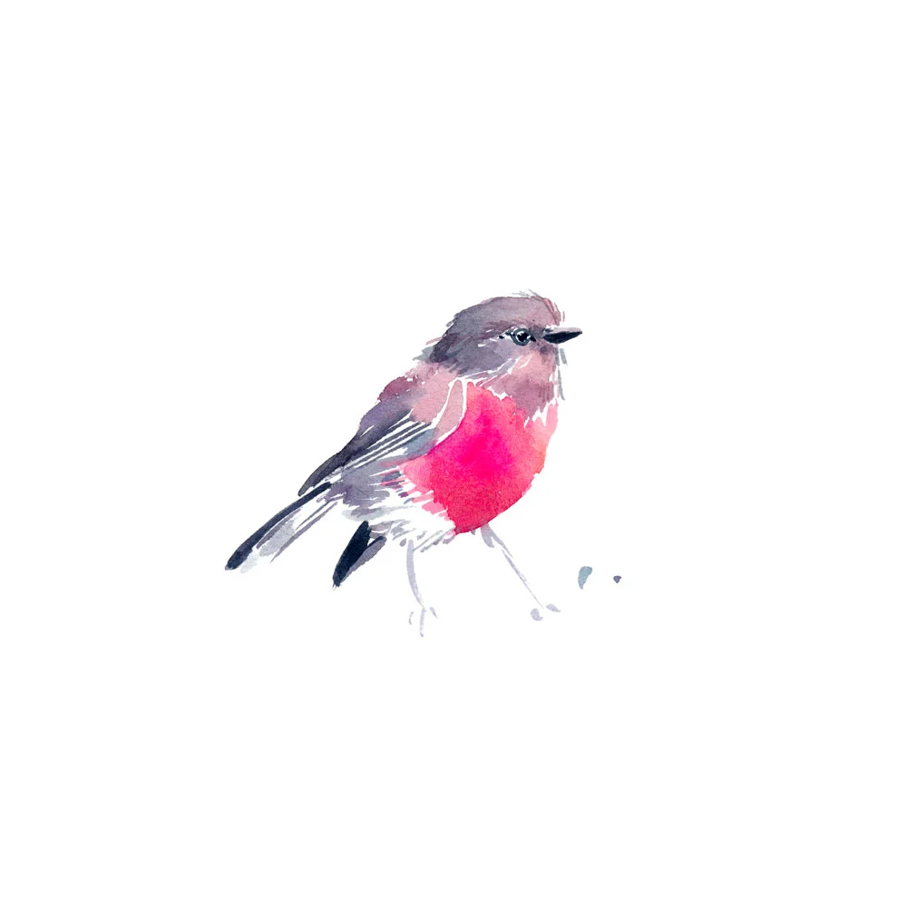 natalie-martin-rose-robin-art-print-03.jpg