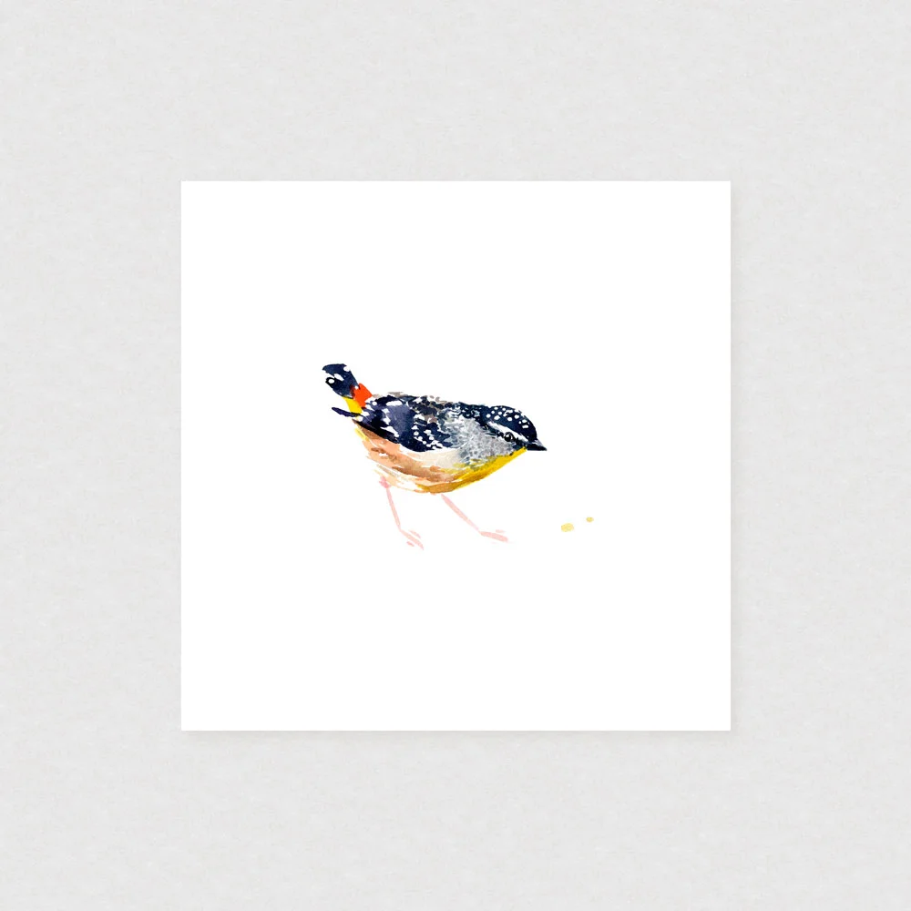 natalie-martin-spotted-pardalote-art-print-02.jpg