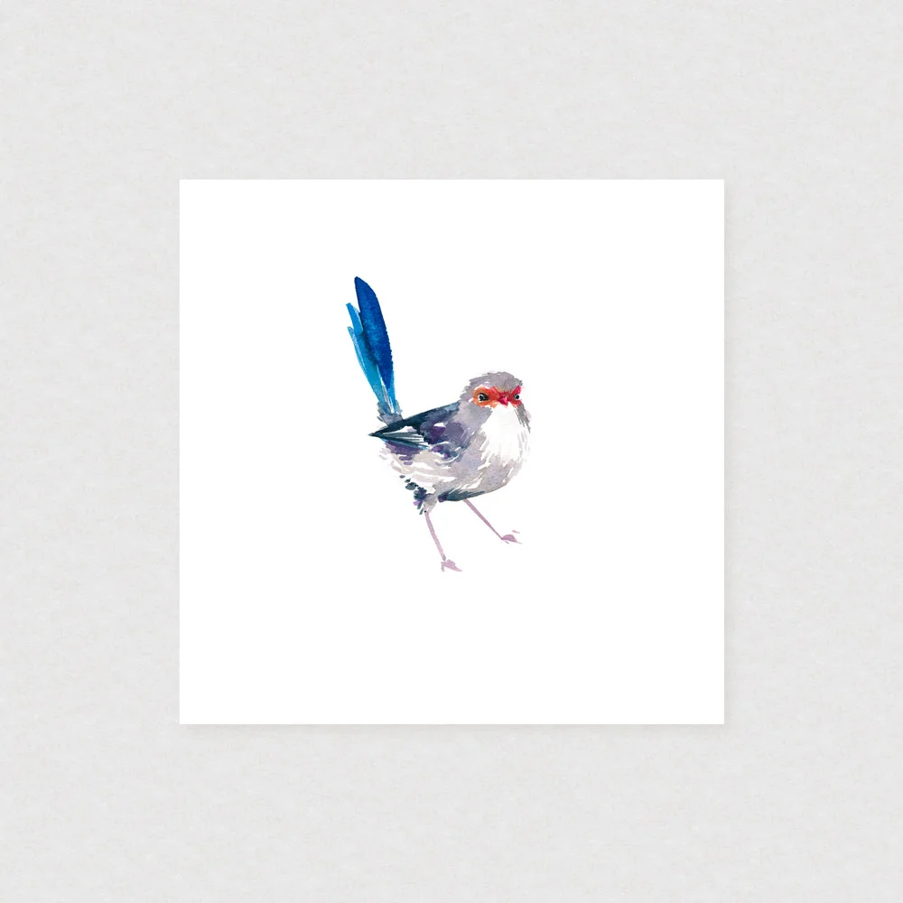 natalie-martin-splendid-fairy-wren-female-art-print-02.jpg