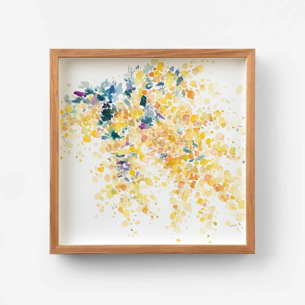 Wattle Plume