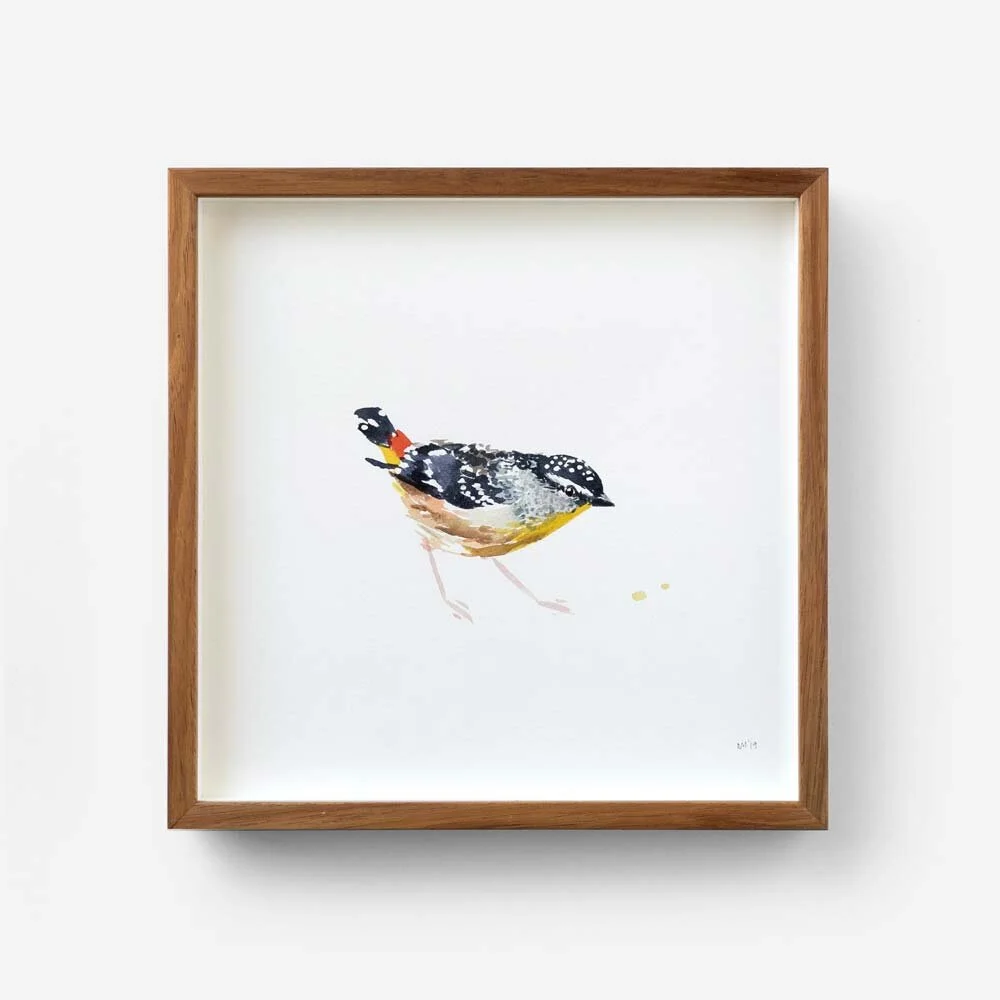 Spotted Pardalote