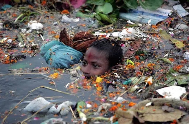 crEnviroDevastation.jpg