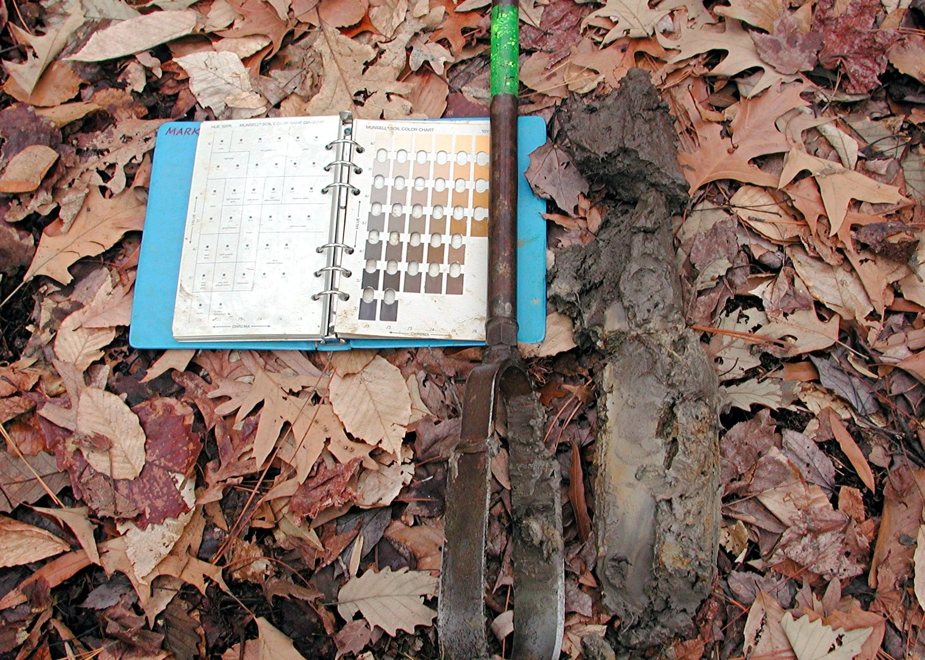 soil profile.JPG