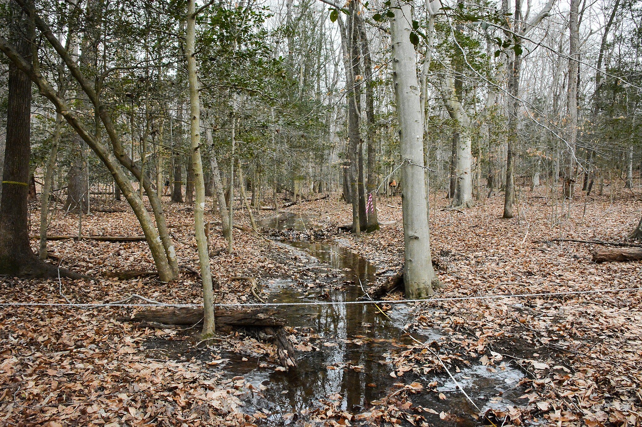 Measuring Vernal Pool.jpg