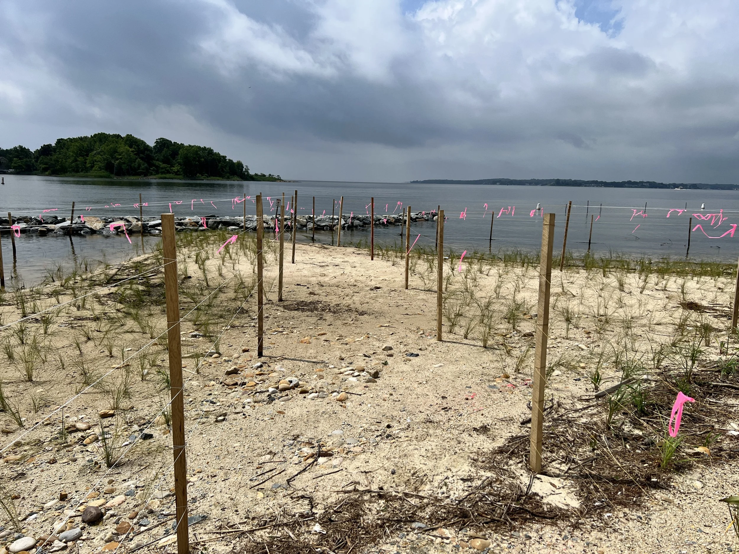 Rock Structure and Vegetation with Goose Fencing