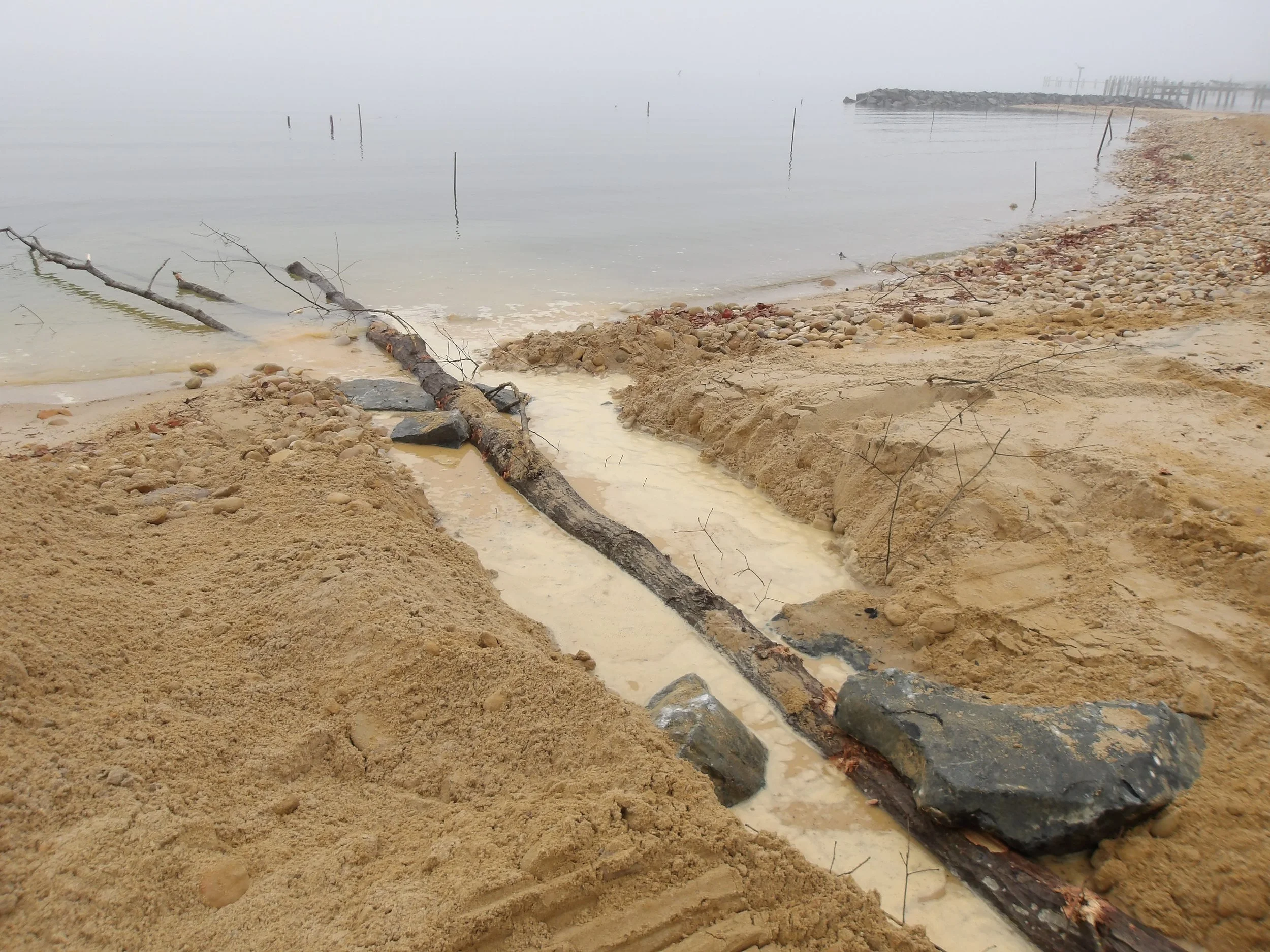 Installed Woody Debris