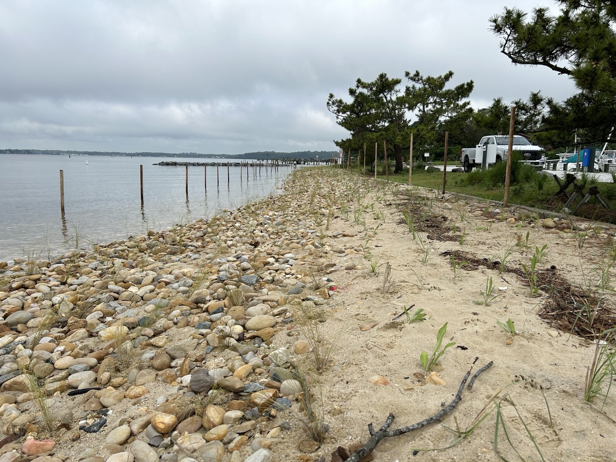 Dune and Marsh Creation Area