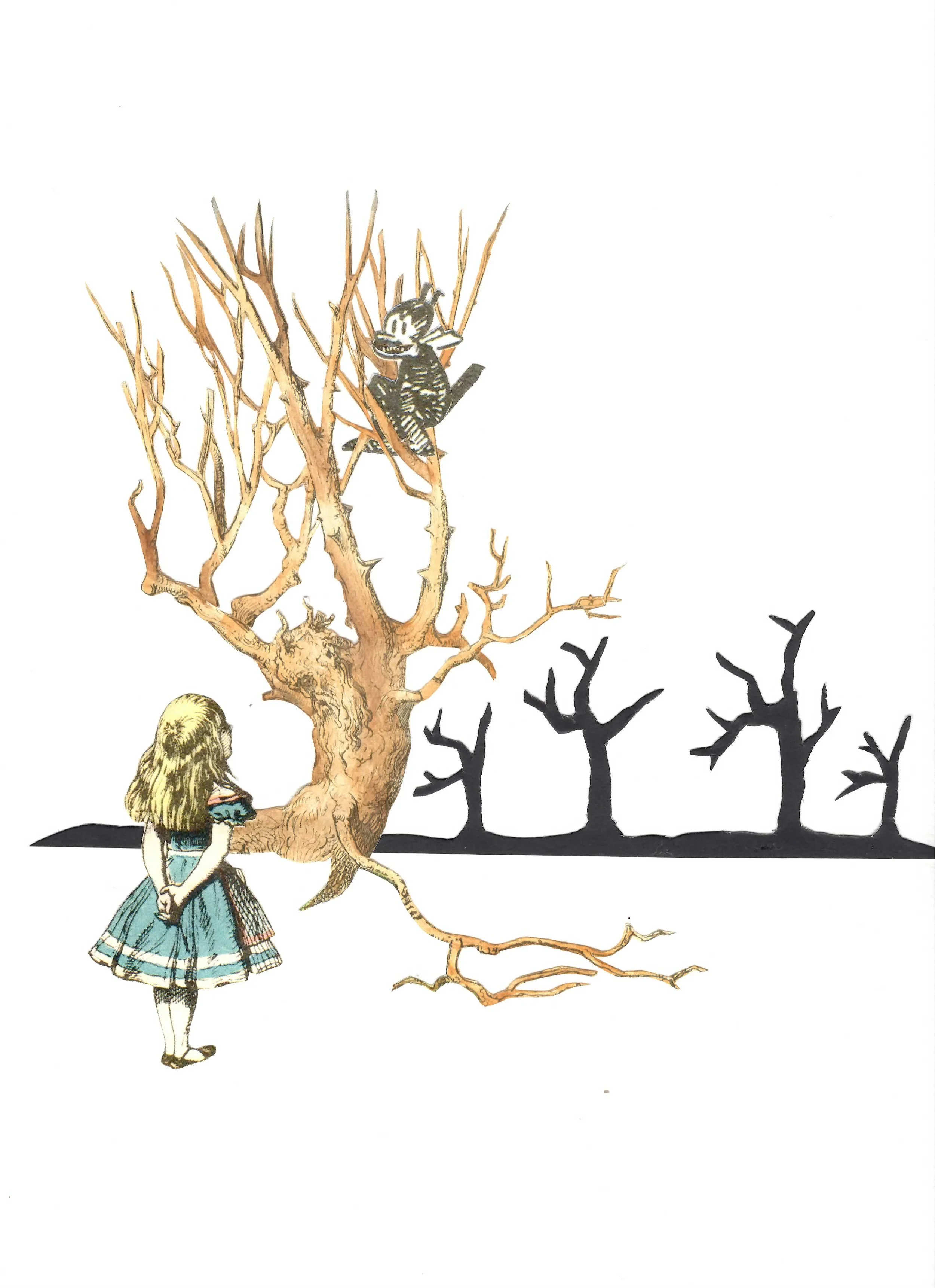 Cheshire Junkie