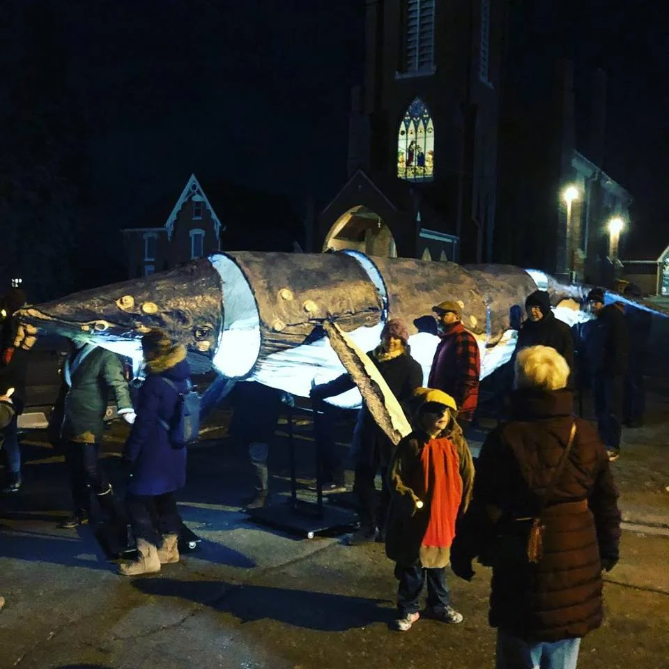 whale.jpg