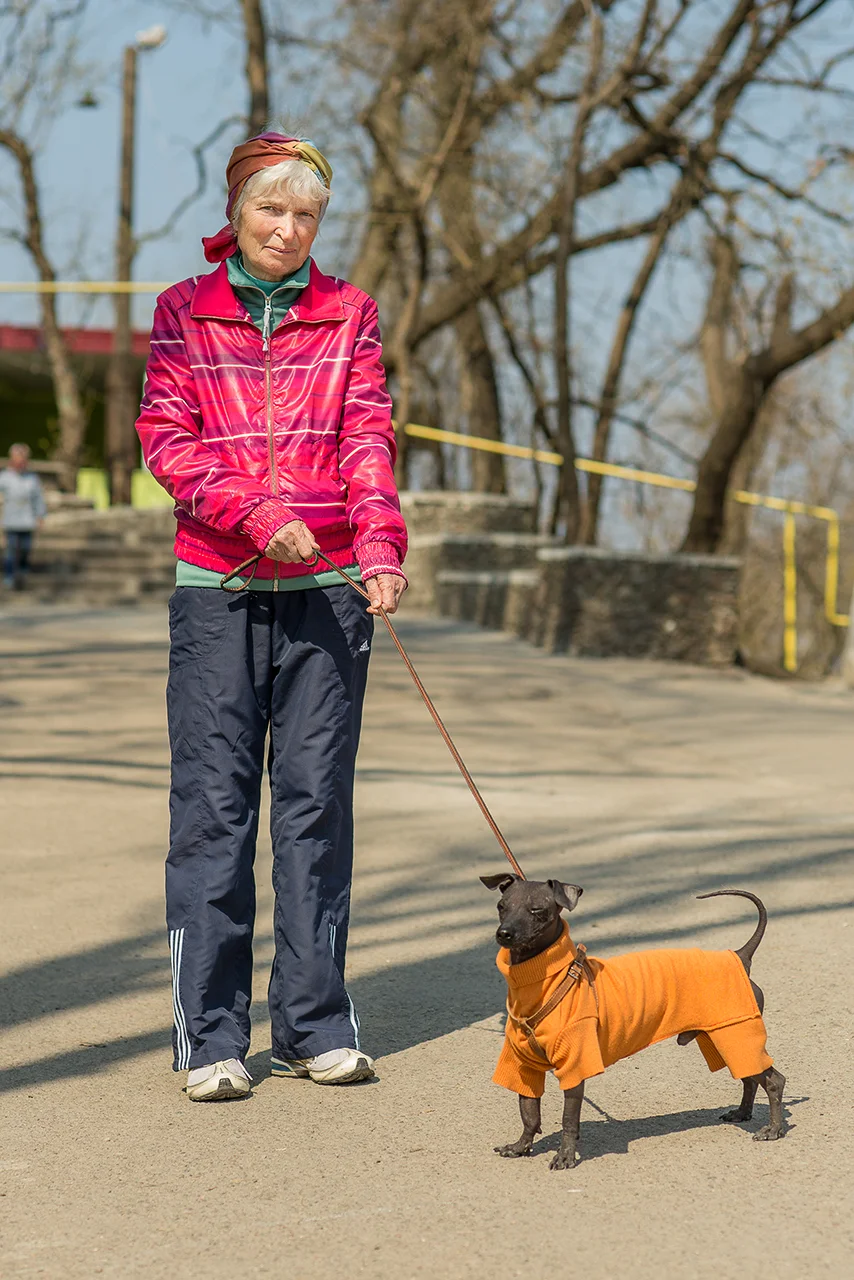 Dogs and accessories. Odessa, Ukraine.