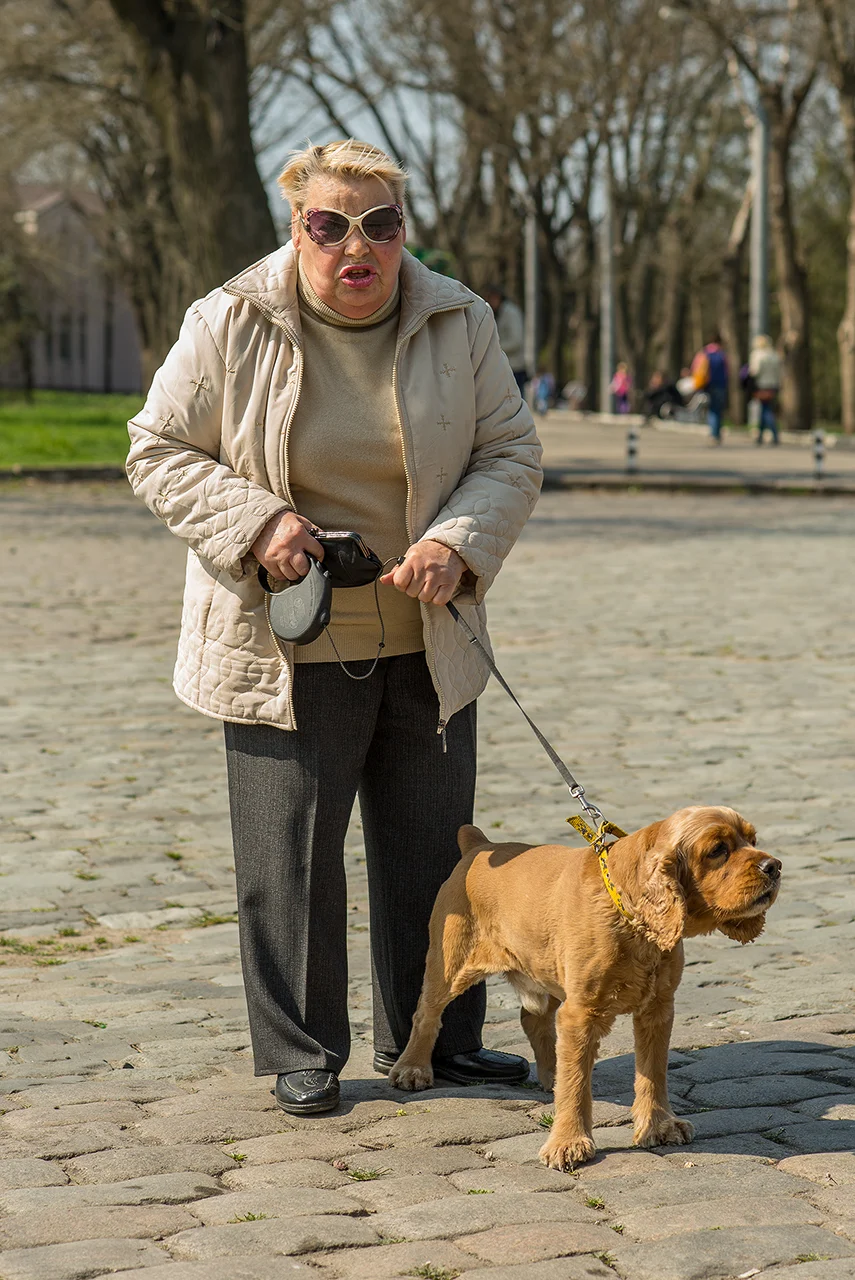 Dogs and accessories. Odessa, Ukraine.