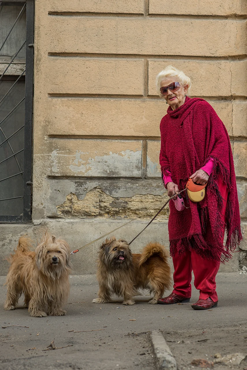 Dogs and accessories. Odessa, Ukraine.