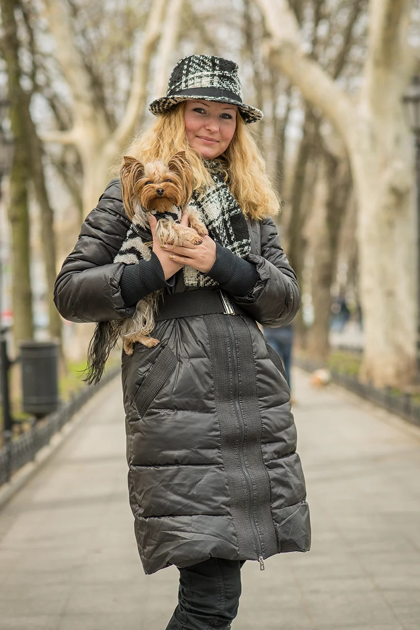 Dogs and accessories. Odessa, Ukraine.