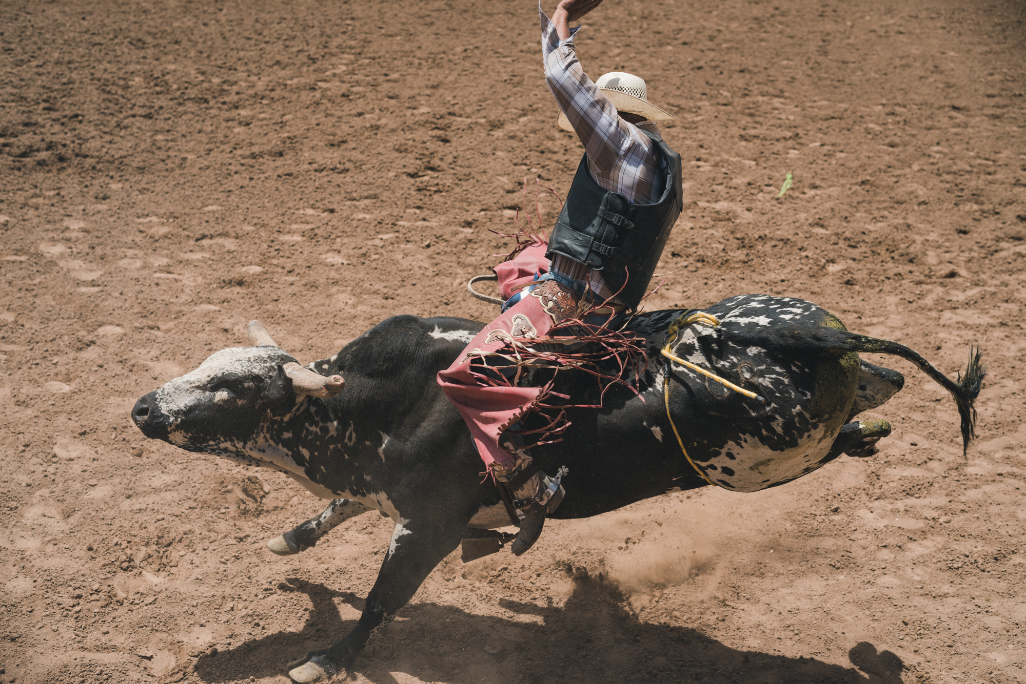 Rodeo_selects-2845.jpg