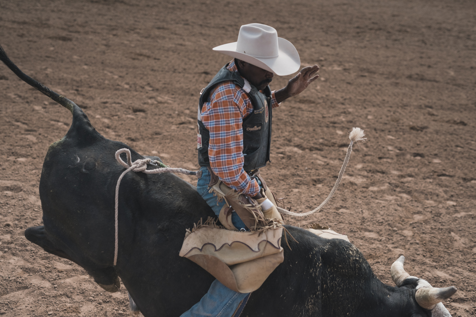 Rodeo_selects-3555.jpg