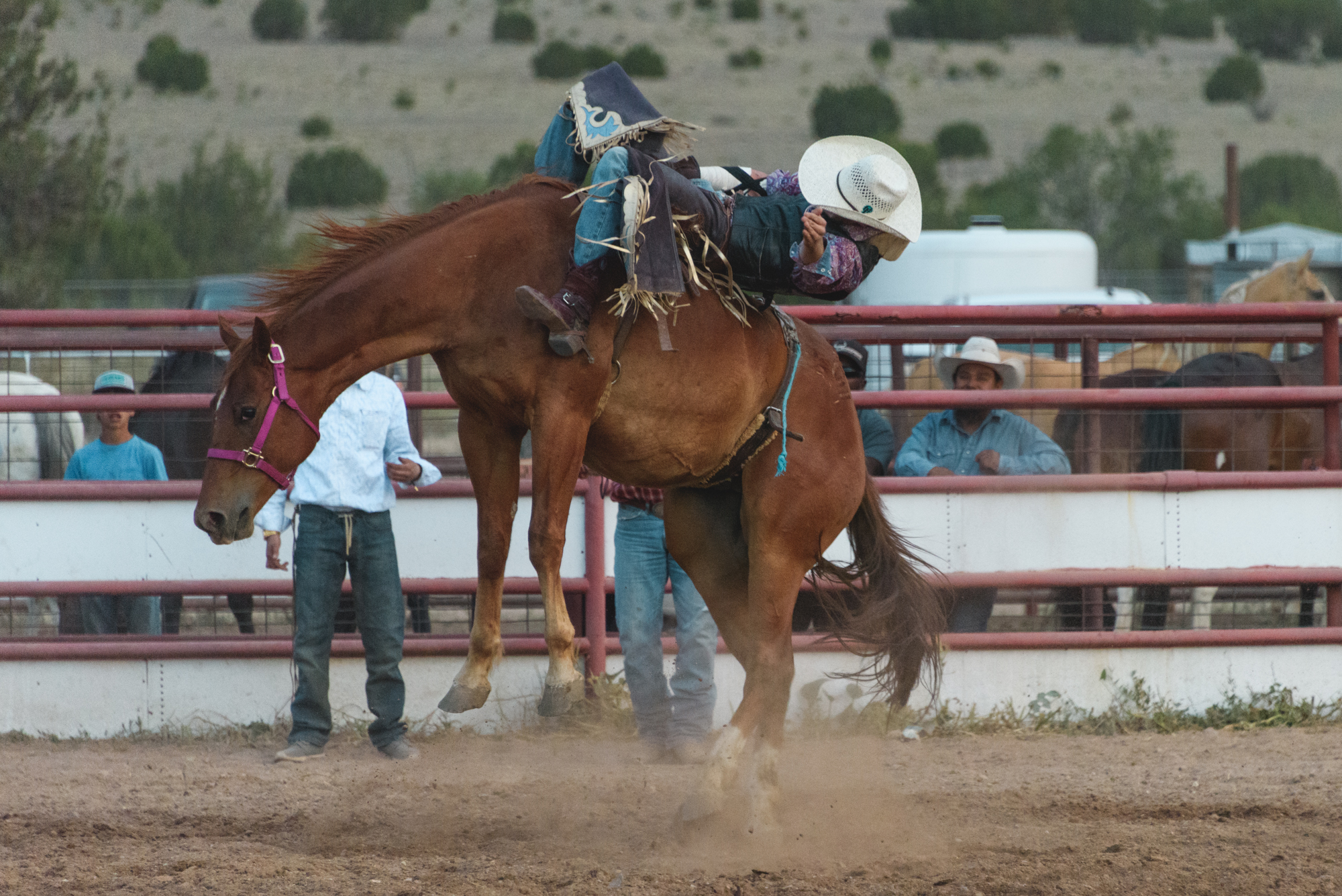 Rodeo_selects-4778.jpg