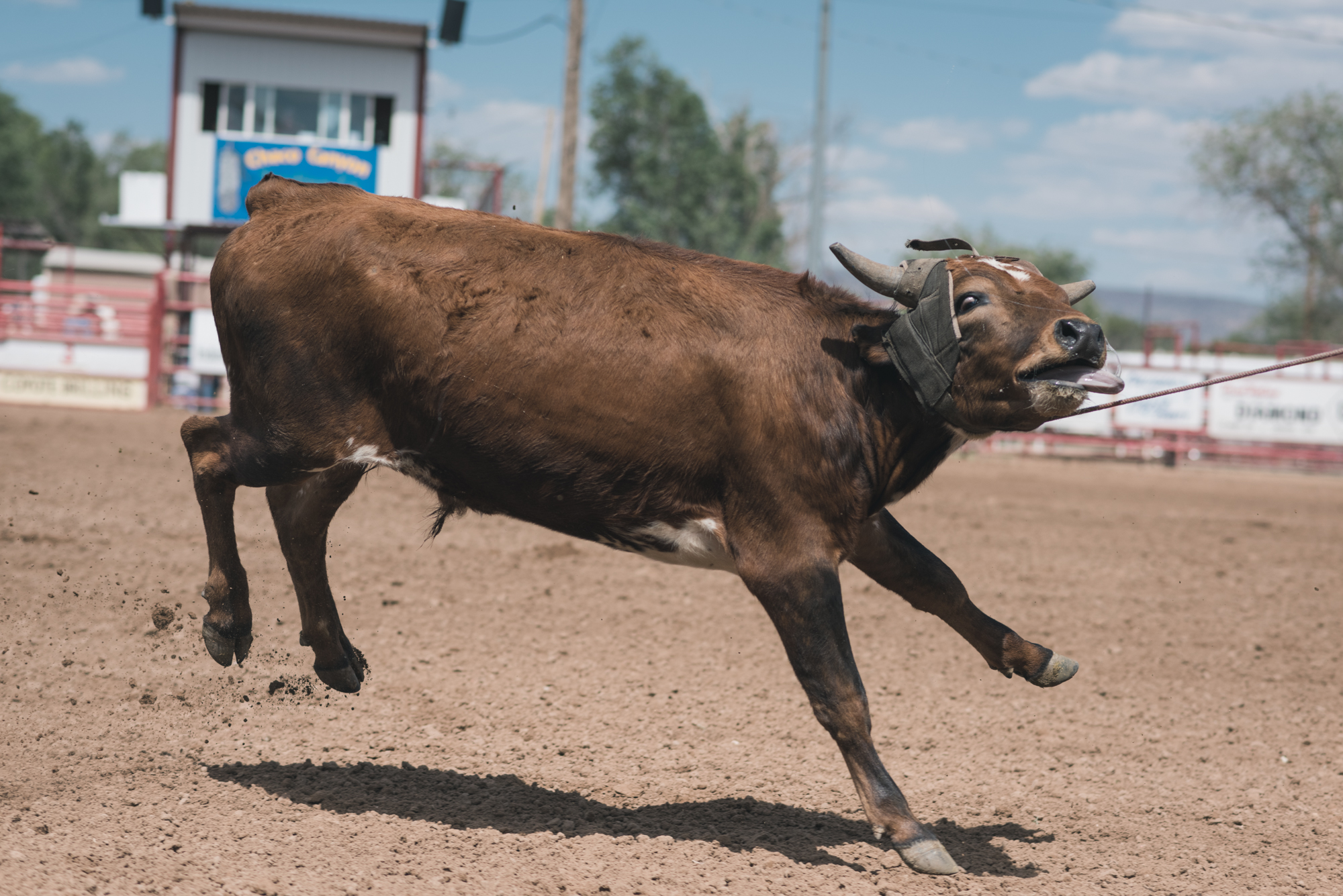 Rodeo Grants-3327.jpg