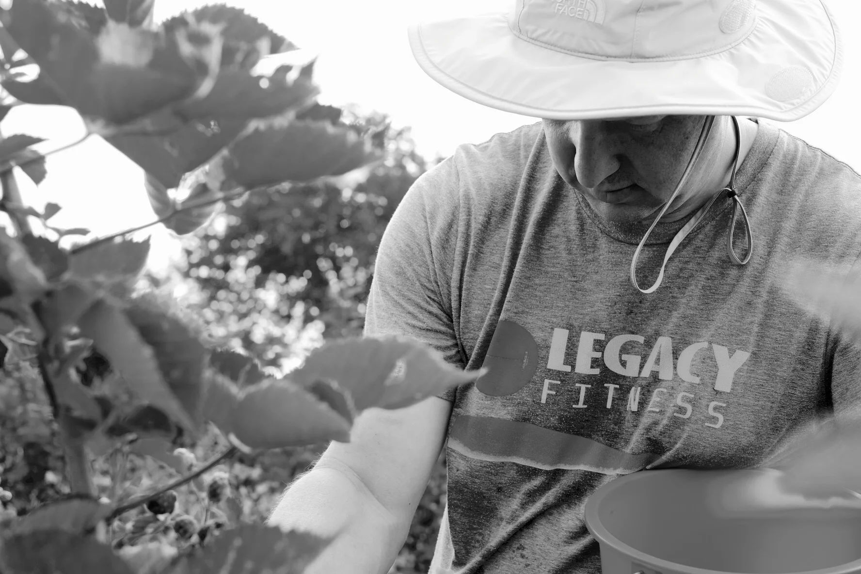 Clay was smart to wear a hat to keep the sun off of his head. The berry bushes actually created a good amount of shade as well!